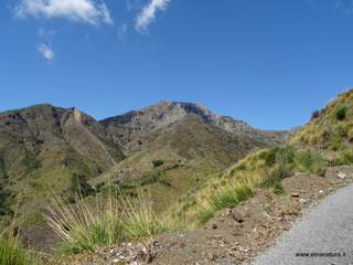 nte Scuderi-05-09-2020 11